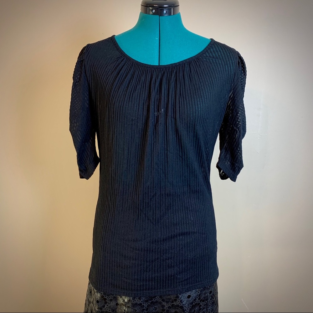 Sheer Ribbed Top With Puffed Sleeves
